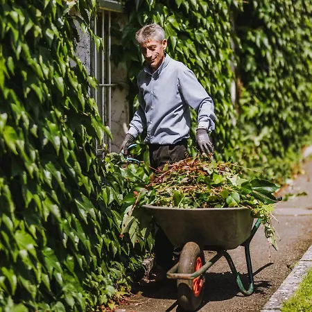 酒店 Bulfon 沃尔特湖畔韦尔登